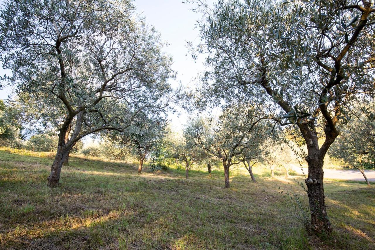 Agriturismo Valbare Fregona Ngoại thất bức ảnh